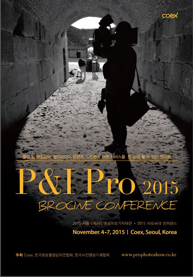 P&amp;I Pro 2015.JPG