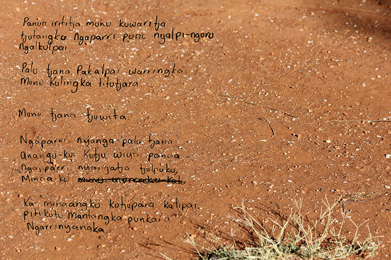 Brenda Douglas, Mai Putitja Ngaparri (Bushtucka), 27x18cm, pigment print, 2013.jpg