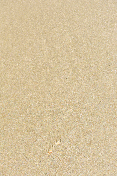 모래위에 쓰는 이름(600 900) - 2013.jpg