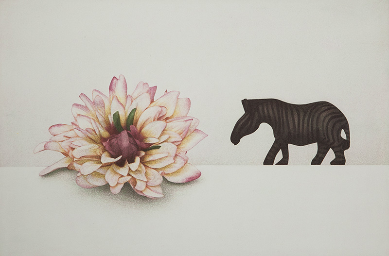 flower and  zebra, 2012, Gum bichromate print.jpg