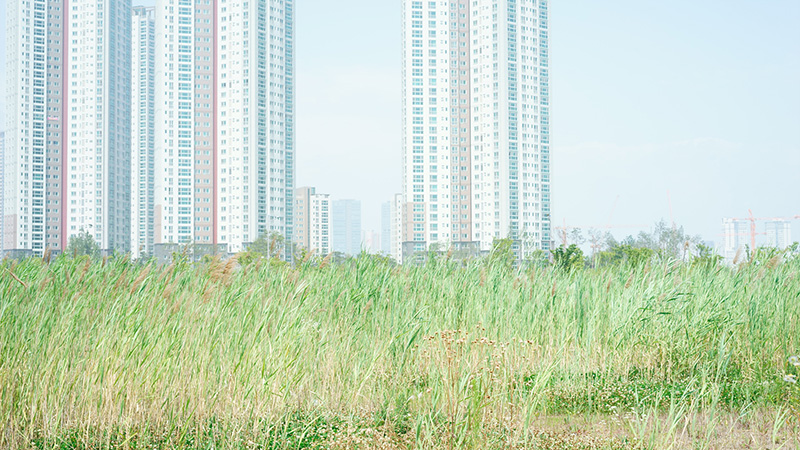 이영욱, 이상한 도시산책, #6, 90x285cm ,2014..jpg