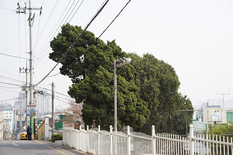 이영욱, 이상한 도시산책, #1, 100x150cm ,2014..jpg